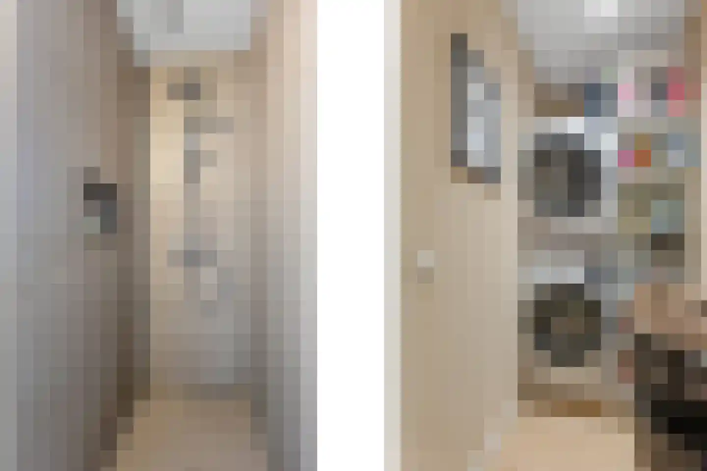 Doorloper 18 Sappemeer thumbnail 27