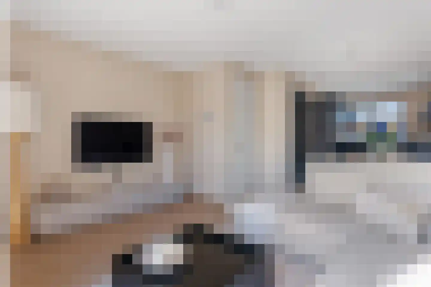 Doorloper 18 Sappemeer thumbnail 4