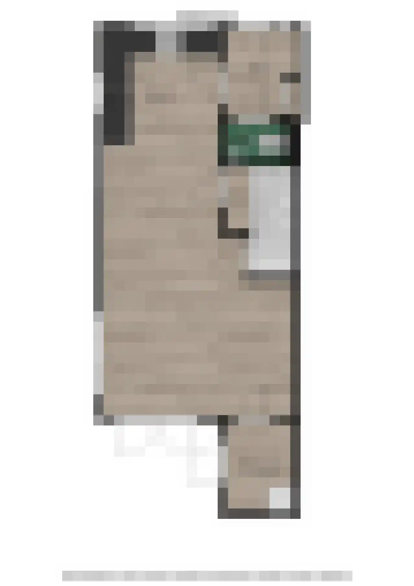 Doorloper 20 Sappemeer thumbnail 10