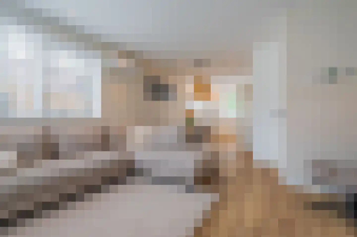 Doorloper 20 Sappemeer thumbnail 14