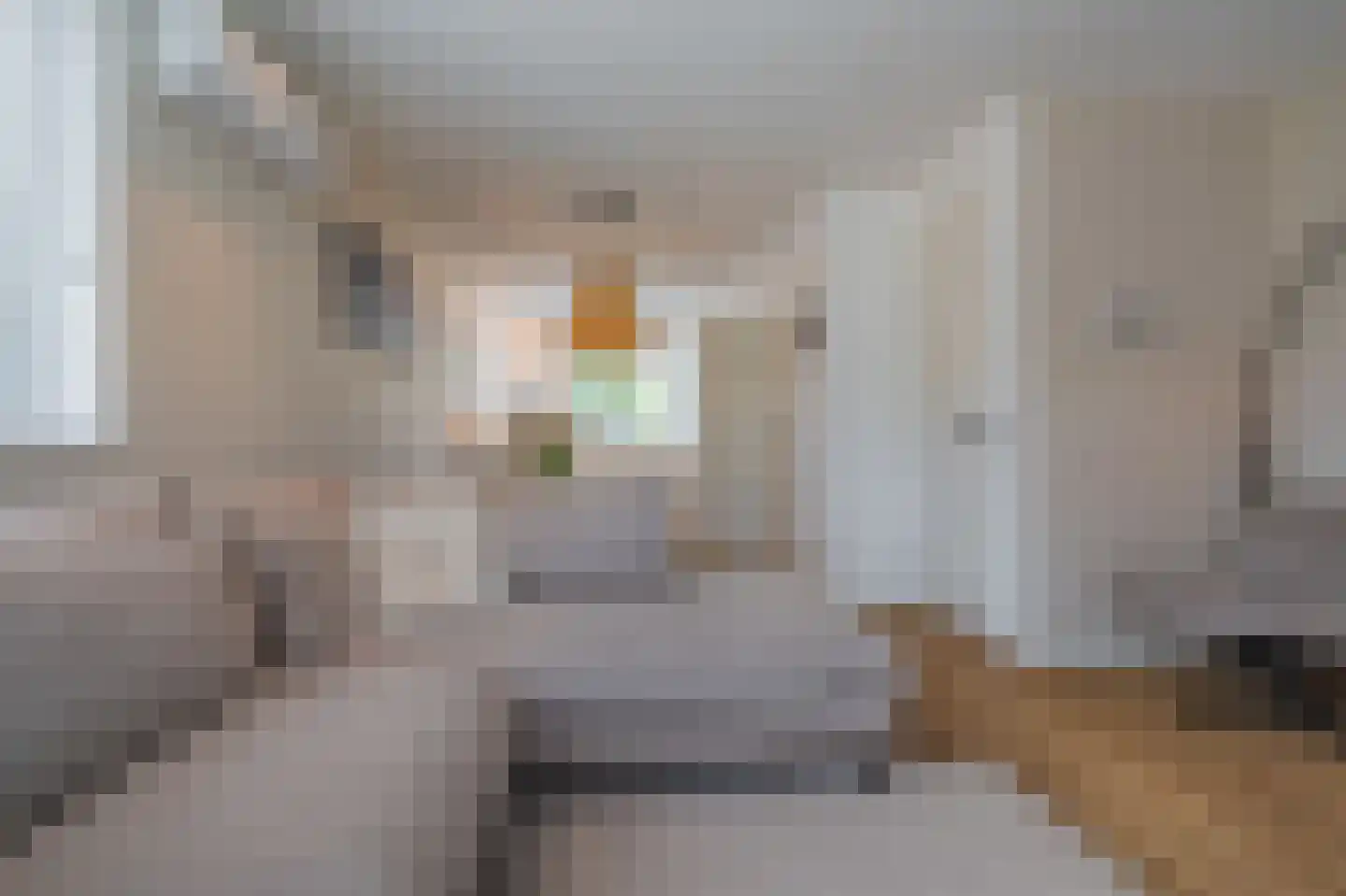 Doorloper 20 Sappemeer thumbnail 16