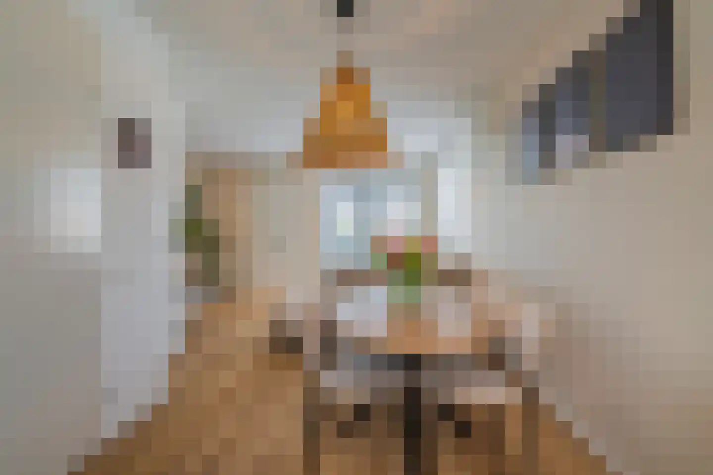 Doorloper 20 Sappemeer thumbnail 19