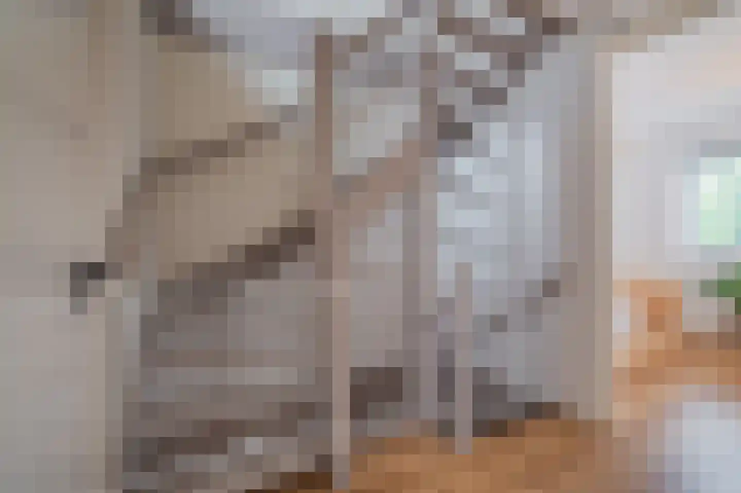 Doorloper 20 Sappemeer thumbnail 38