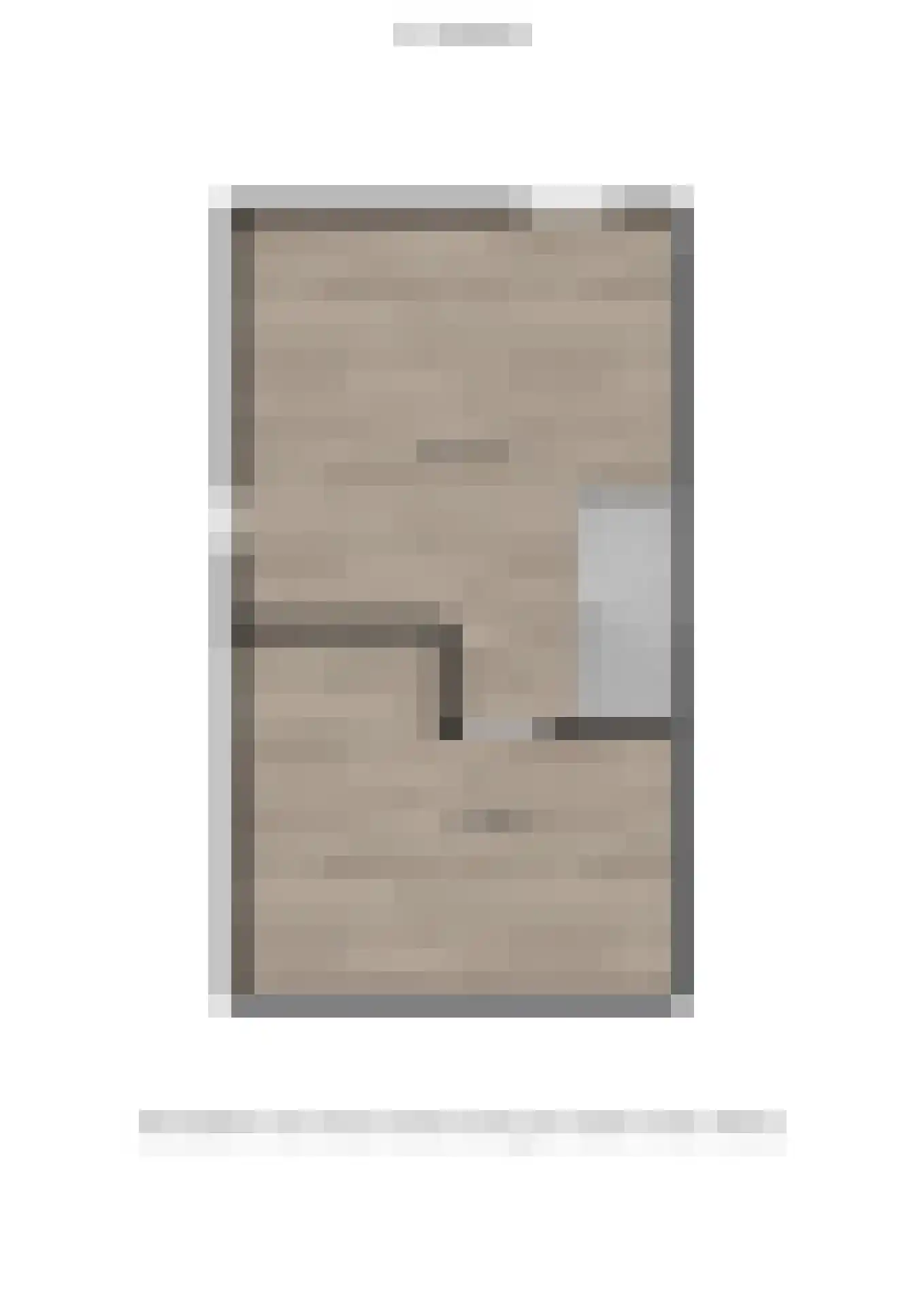 Doorloper 20 Sappemeer thumbnail 50