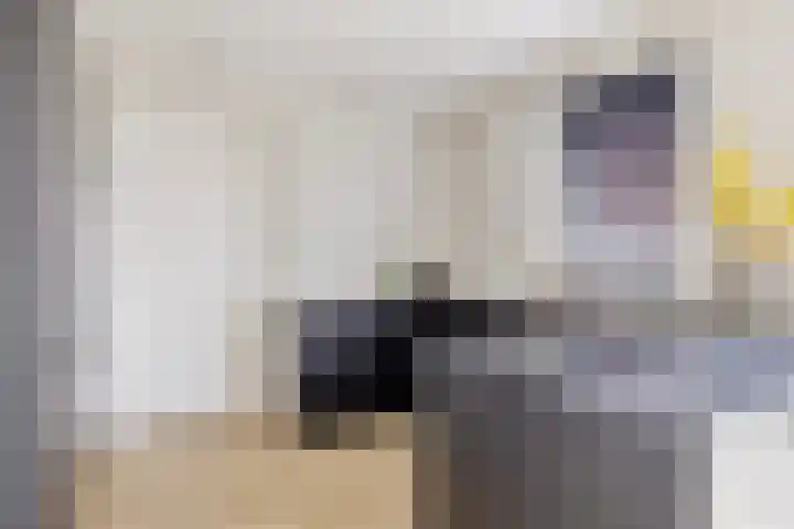 Doorloper 66 Sappemeer thumbnail 11