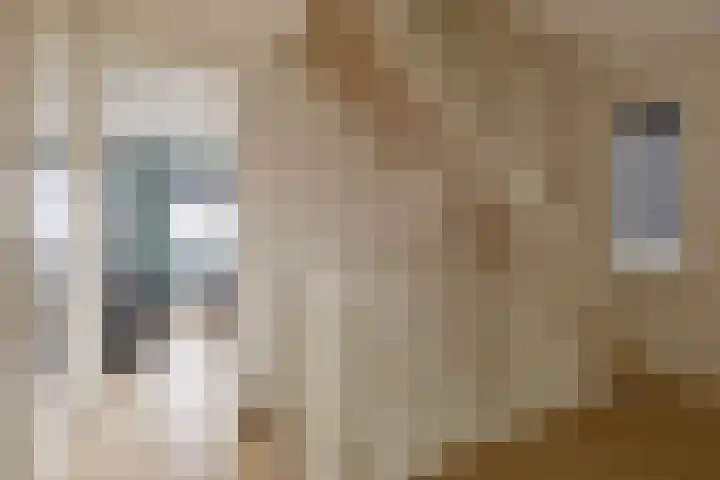 Doorloper 66 Sappemeer thumbnail 17