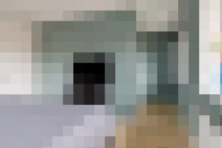 Doorloper 66 Sappemeer thumbnail 19