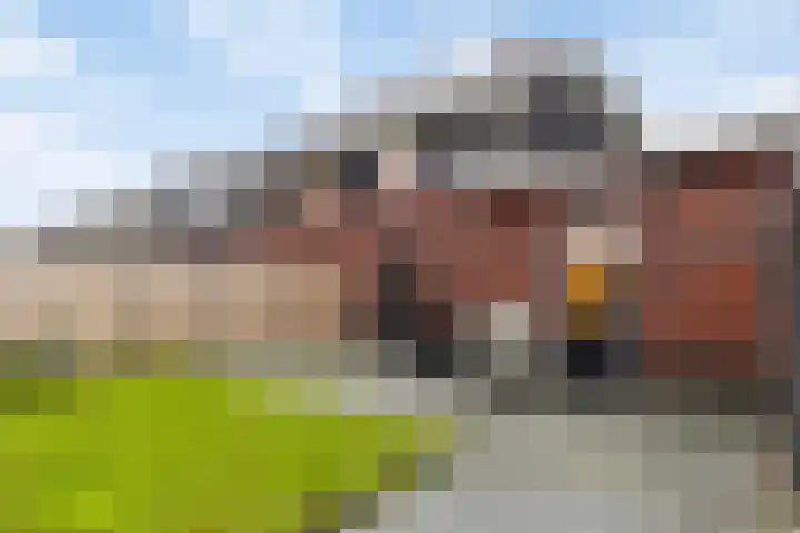 Doorloper 66 Sappemeer thumbnail 29