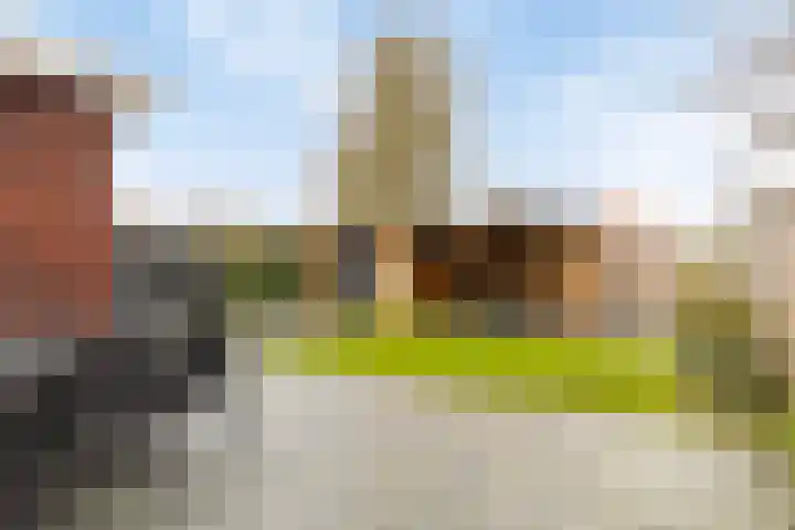 Doorloper 66 Sappemeer thumbnail 33