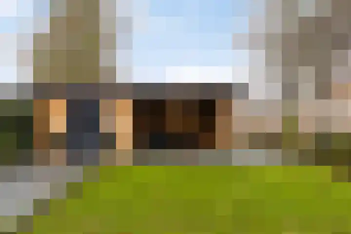 Doorloper 66 Sappemeer thumbnail 34
