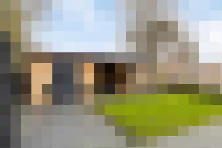 Doorloper 66 Sappemeer thumbnail 35