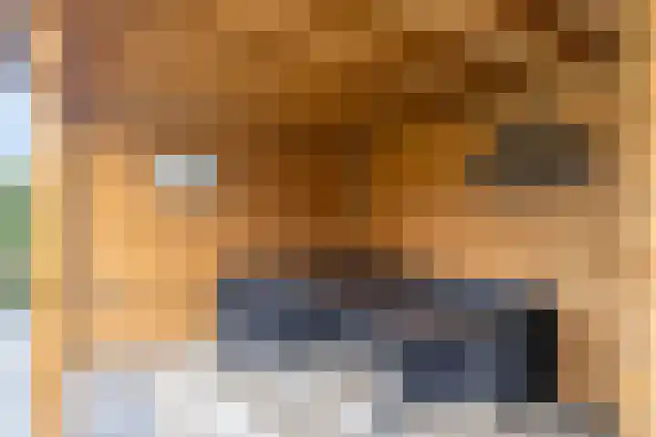 Doorloper 66 Sappemeer thumbnail 36