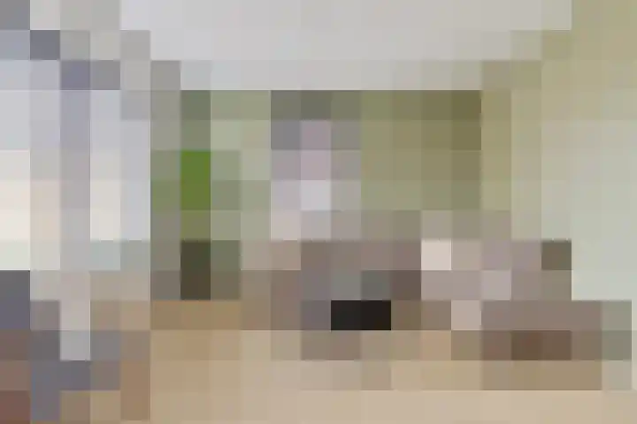 Doorloper 66 Sappemeer thumbnail 4