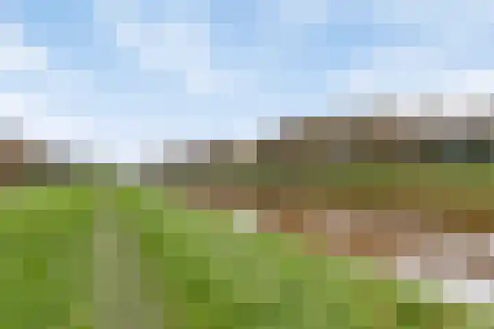 Doorloper 66 Sappemeer thumbnail 40