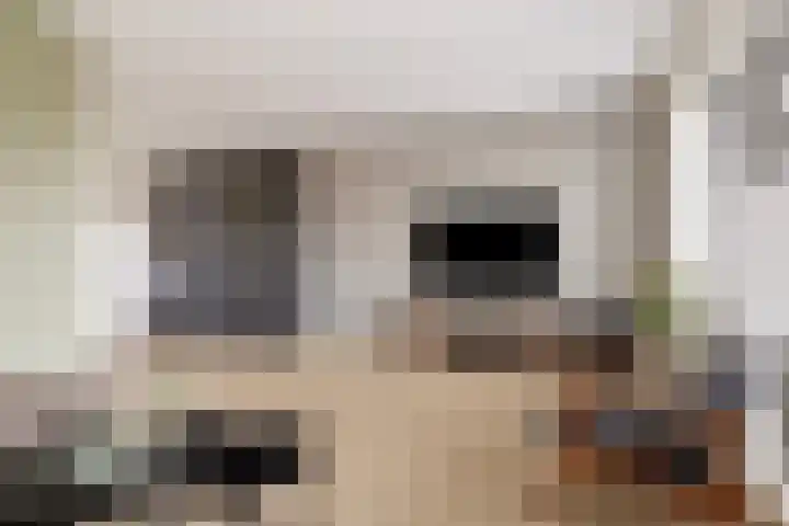 Doorloper 66 Sappemeer thumbnail 5
