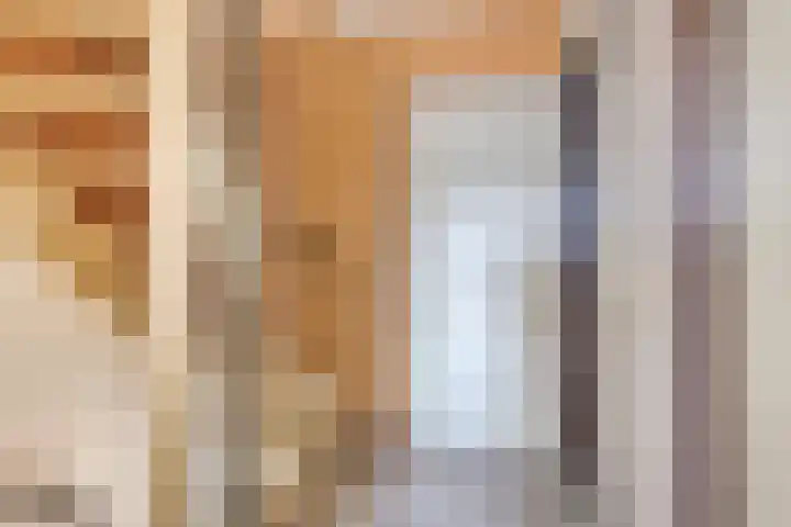 Doormanlaan 42 Son en Breugel thumbnail 16