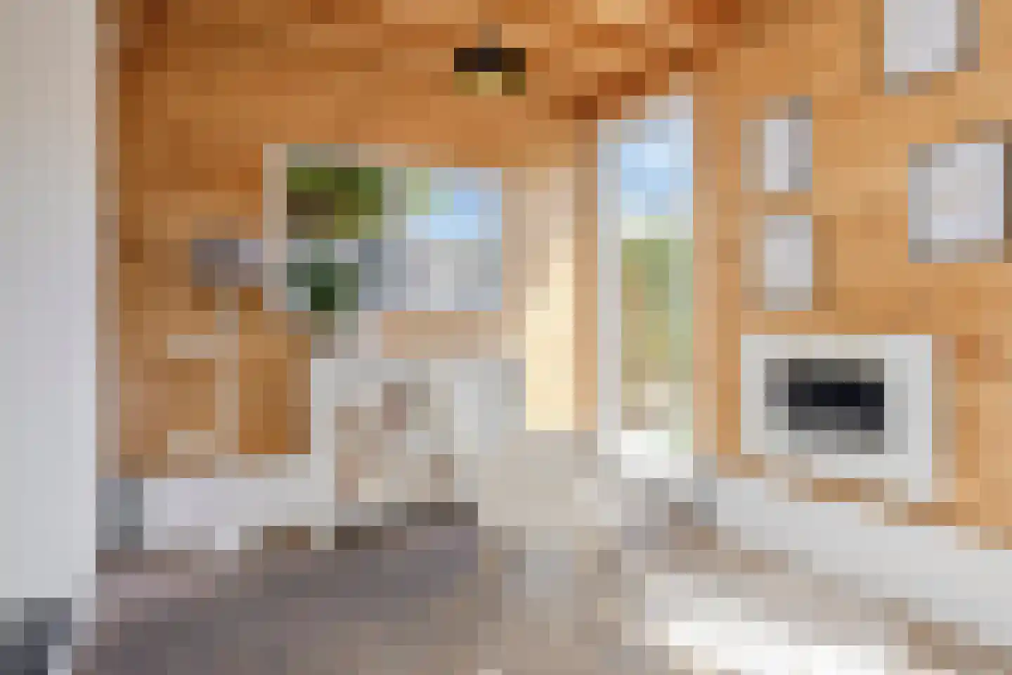Doormanlaan 44 Son en Breugel thumbnail 10