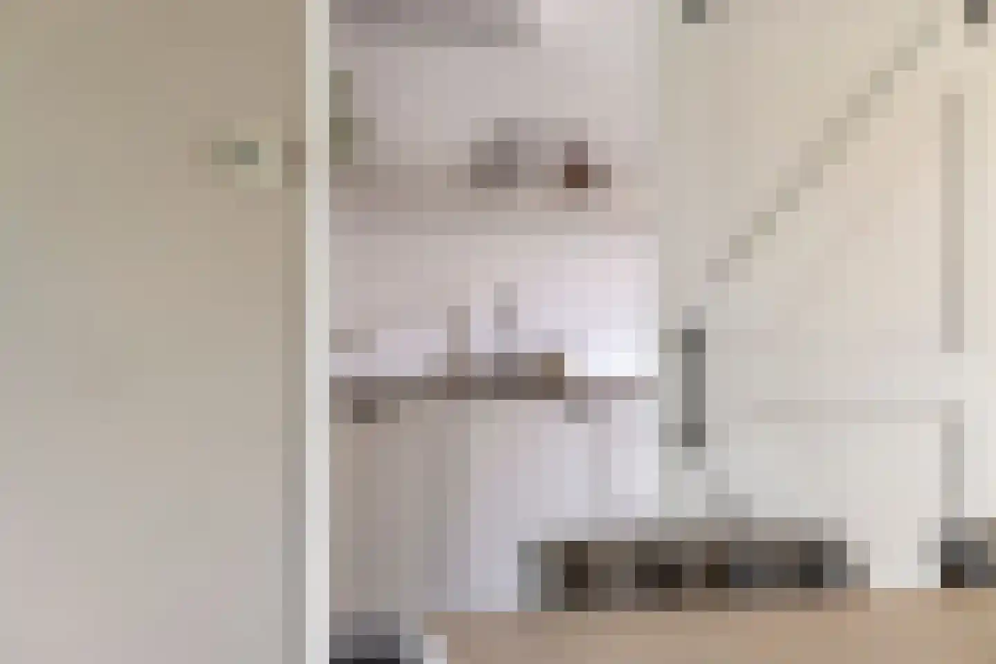 Doormanlaan 44 Son en Breugel thumbnail 12