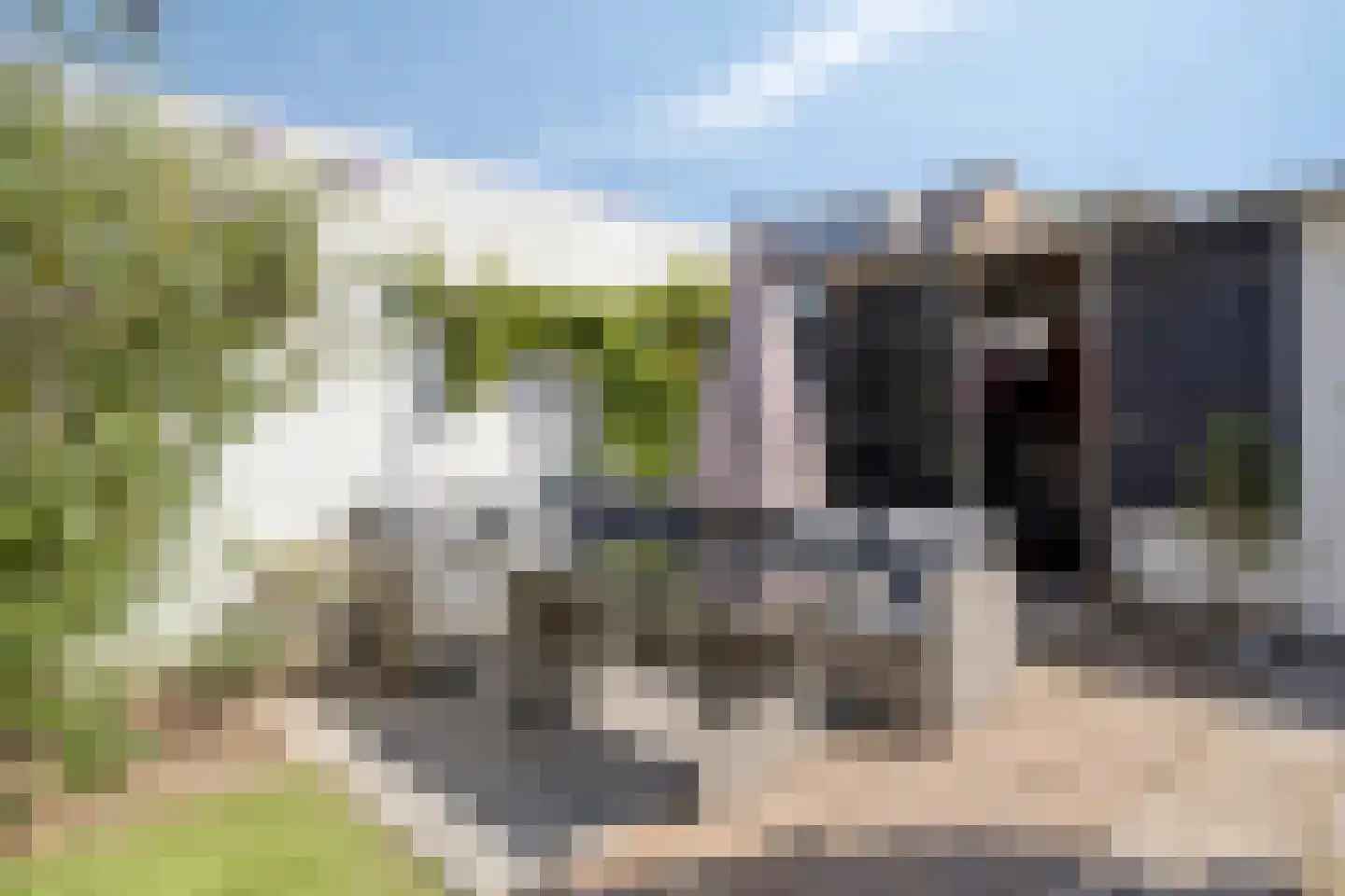 Doormanlaan 44 Son en Breugel thumbnail 36