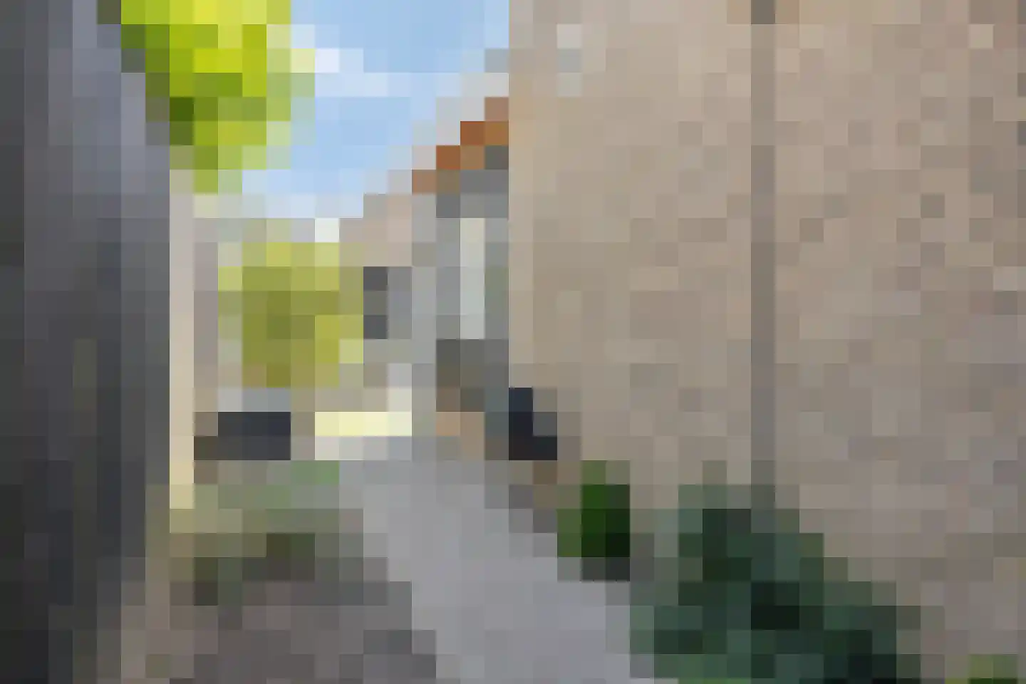 Doormanlaan 44 Son en Breugel thumbnail 39