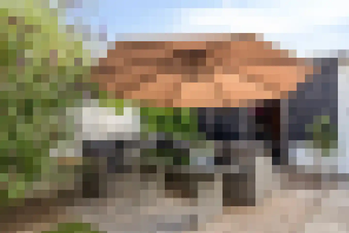 Doormanlaan 44 Son en Breugel thumbnail 43
