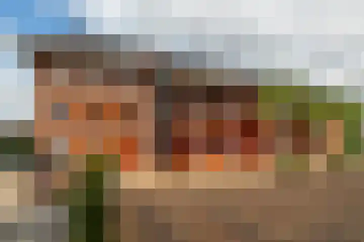 Doormanplein 44 Capelle aan den IJssel thumbnail 30
