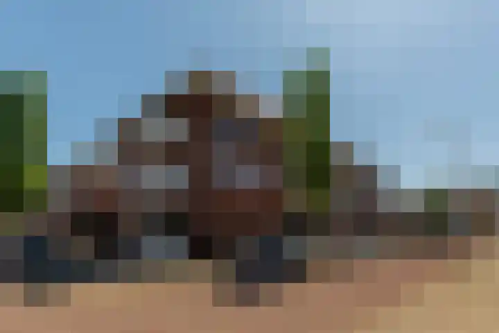 Doormanplein 44 Capelle aan den IJssel thumbnail 39