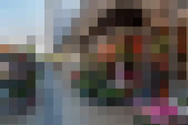 Doormanplein 44 Capelle aan den IJssel thumbnail 41
