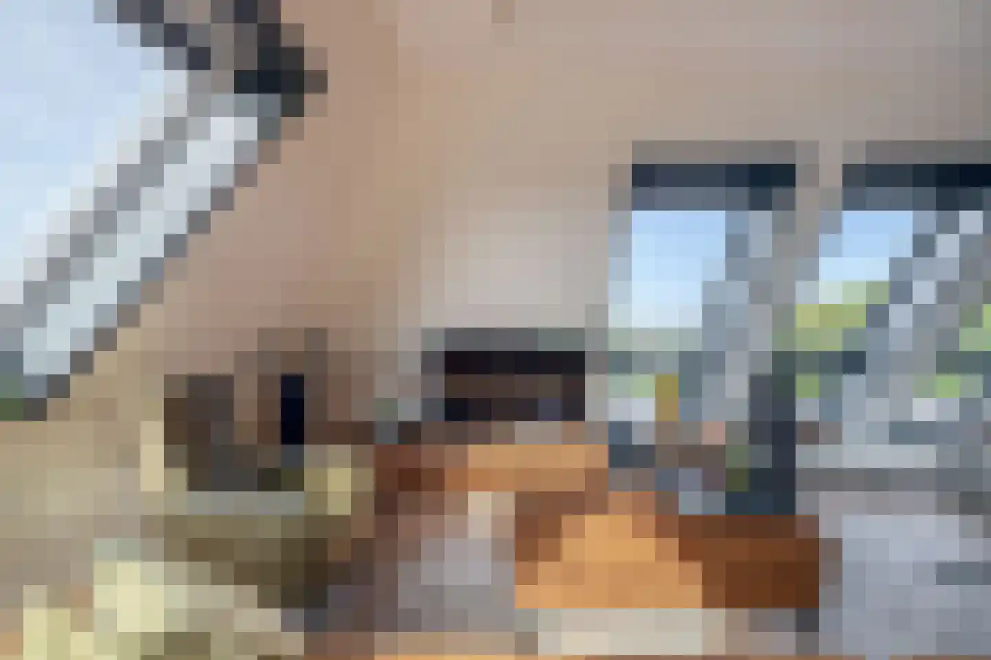 Doormanplein 47 Capelle aan den IJssel thumbnail 16