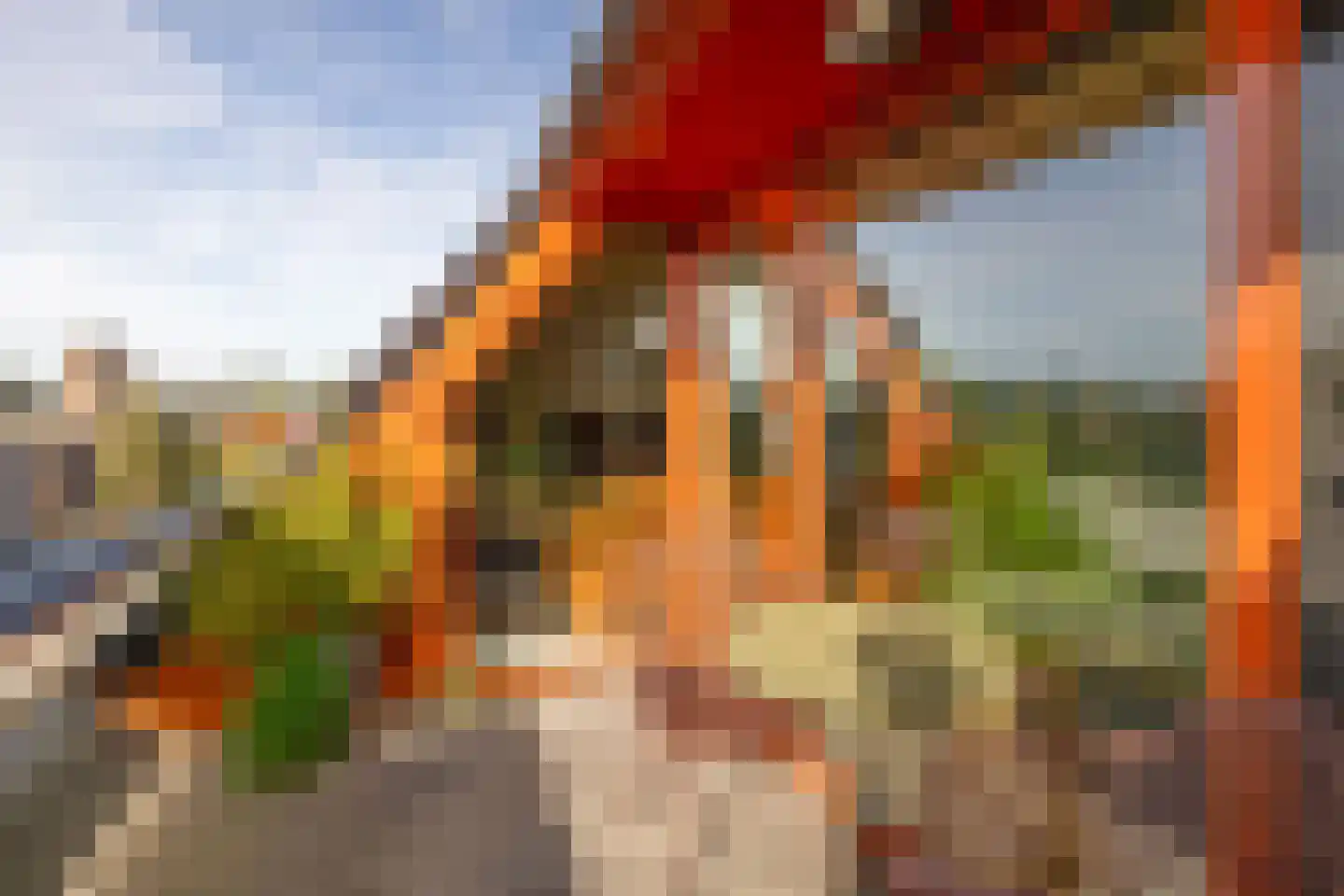 Doormanplein 47 Capelle aan den IJssel thumbnail 20