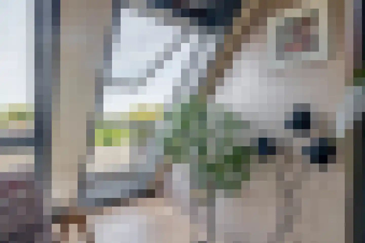 Doormanplein 47 Capelle aan den IJssel thumbnail 39