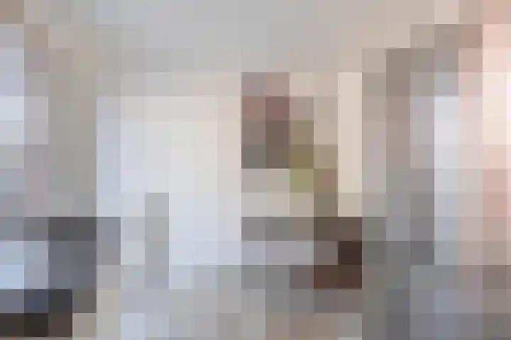 Doormanplein 58 Capelle aan den IJssel thumbnail 17