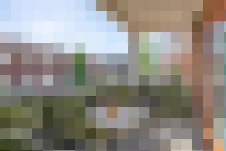 Doormanplein 58 Capelle aan den IJssel thumbnail 21