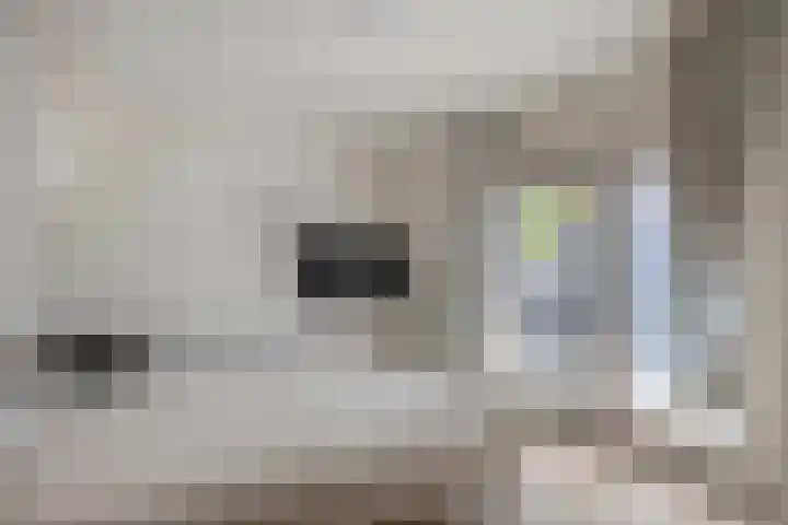 Doormanplein 58 Capelle aan den IJssel thumbnail 32