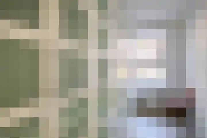Doormanplein 58 Capelle aan den IJssel thumbnail 34