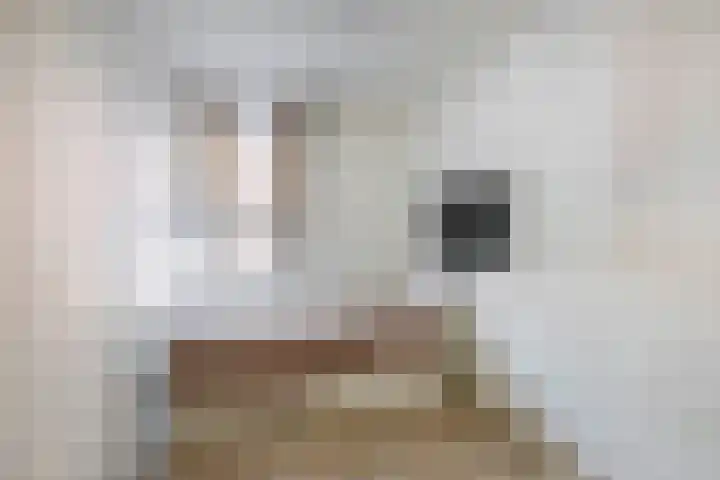 Doormanplein 58 Capelle aan den IJssel thumbnail 35