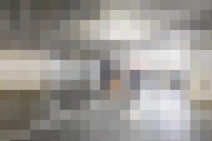 Doormanplein 58 Capelle aan den IJssel thumbnail 36