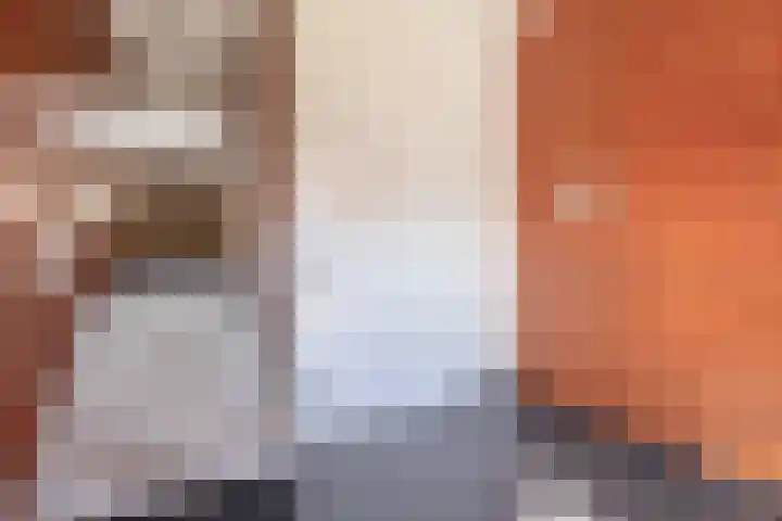 Doormanplein 58 Capelle aan den IJssel thumbnail 6