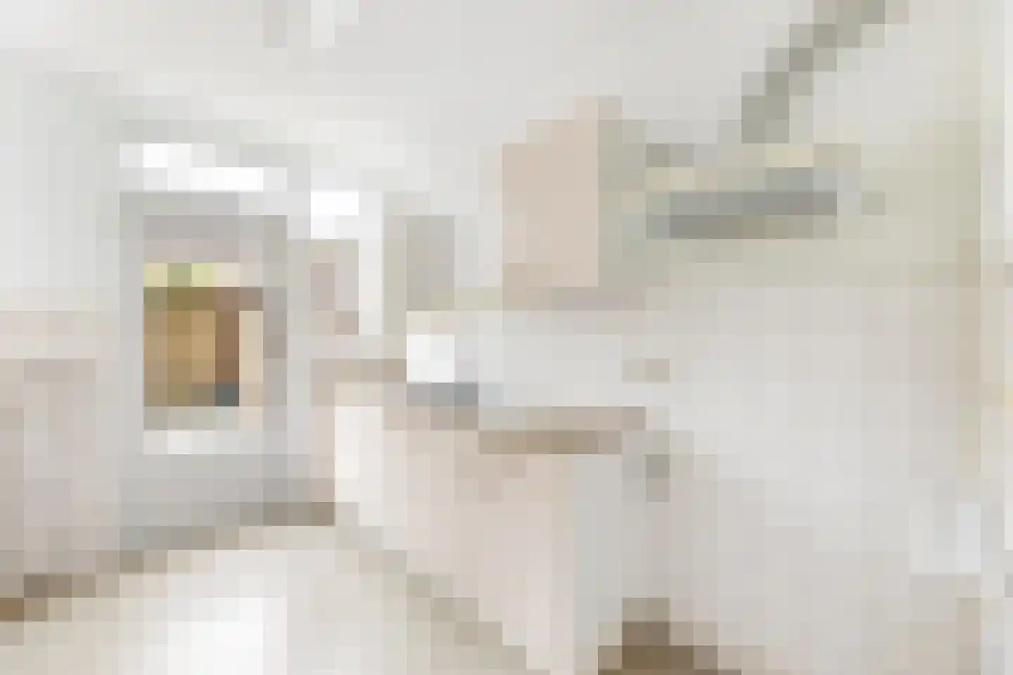 Doormanstraat 15 Koudekerke thumbnail 11