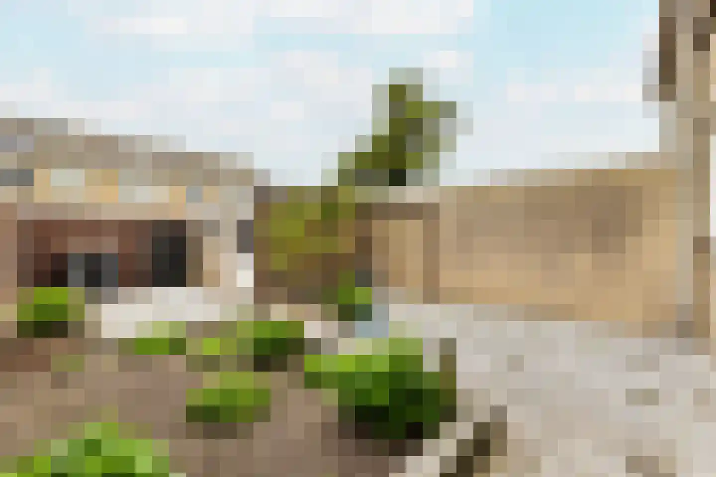Doormanstraat 15 Koudekerke thumbnail 15
