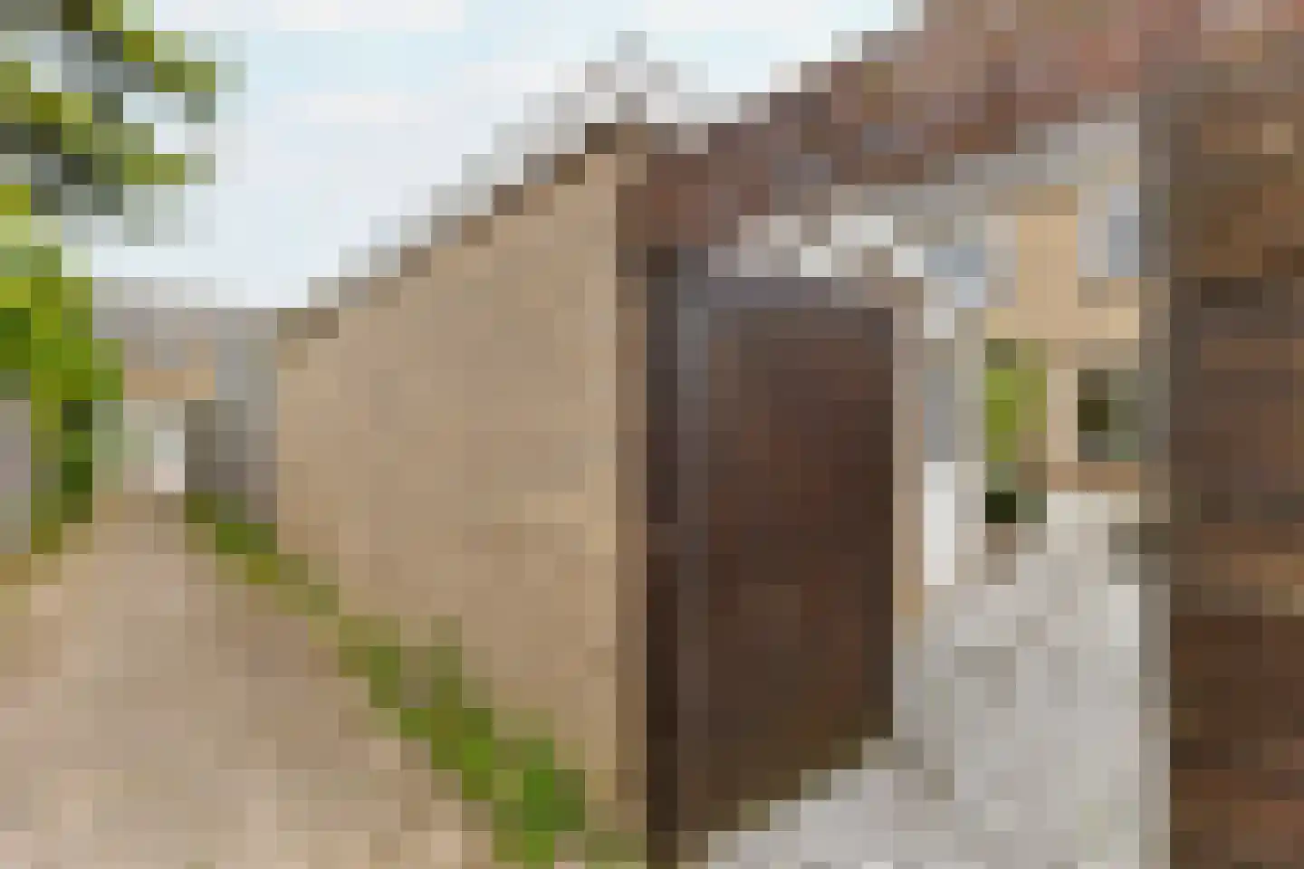 Doormanstraat 15 Koudekerke thumbnail 18