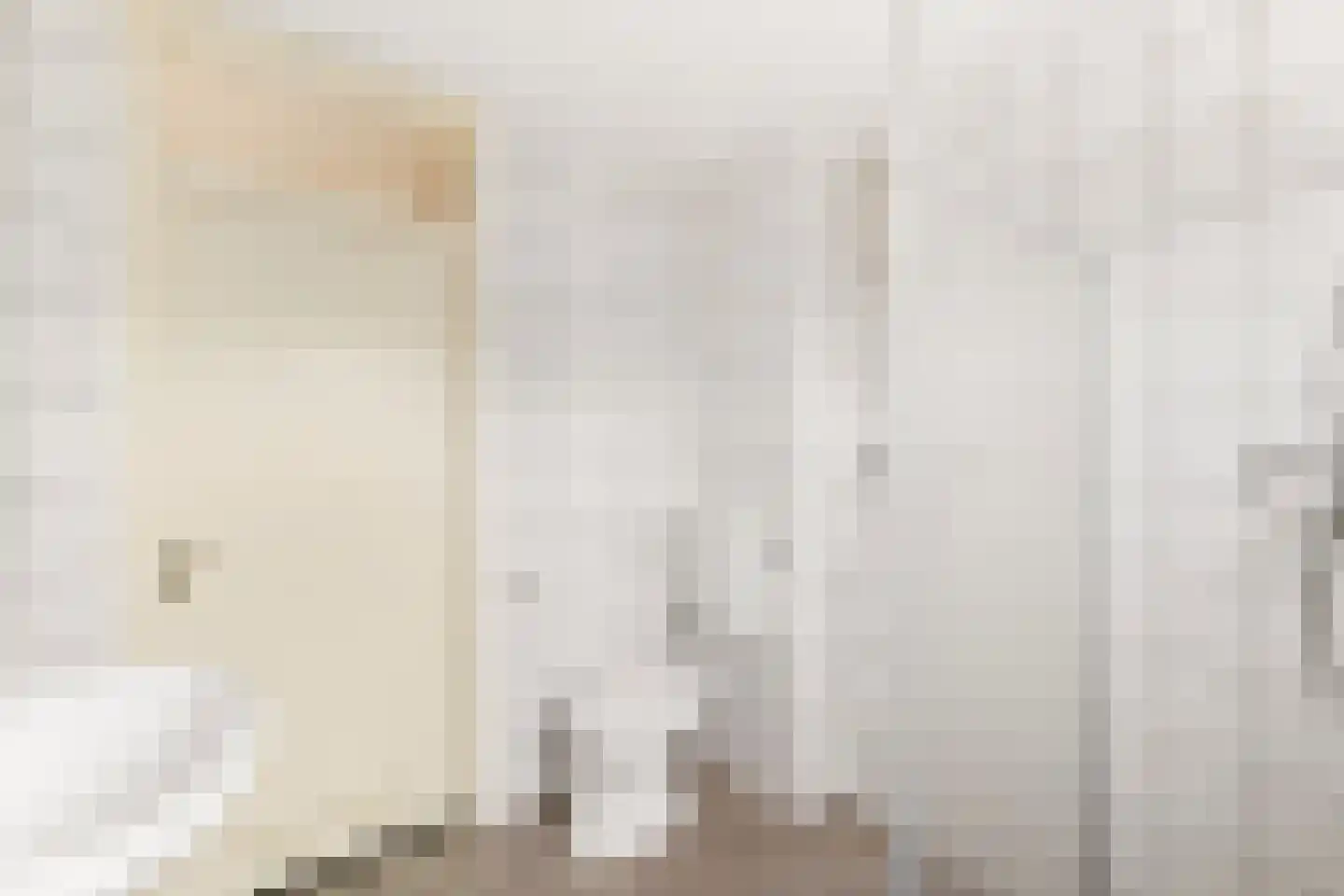 Doormanstraat 15 Koudekerke thumbnail 27