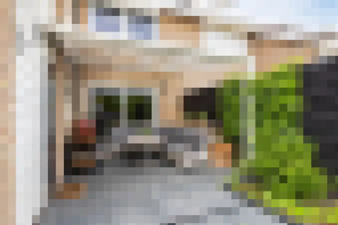Doormanstraat 19 Drunen thumbnail 42
