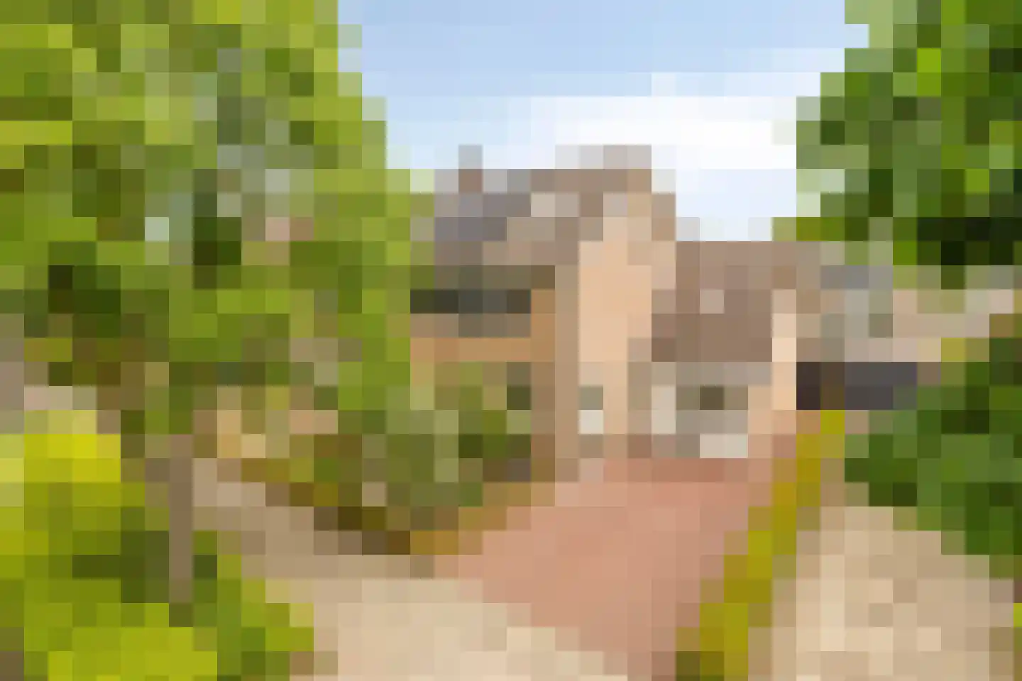 Doormanstraat 19 Drunen thumbnail 5