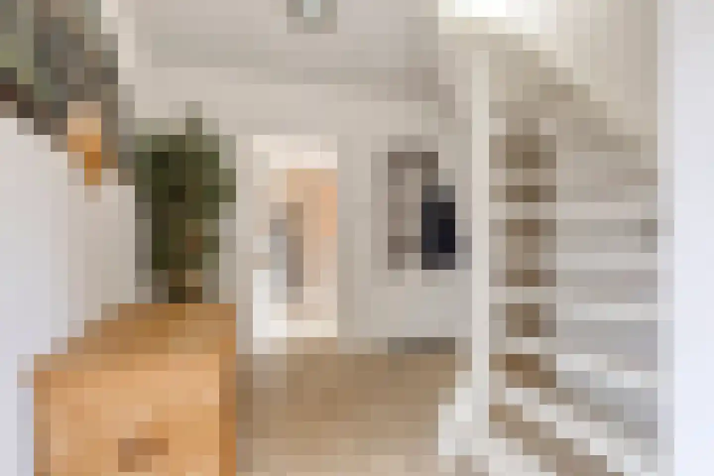 Doormanstraat 19 Drunen thumbnail 9