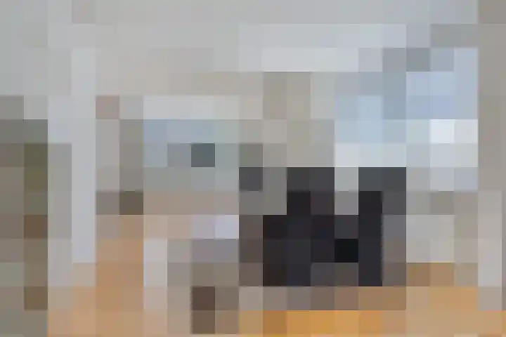Doormanstraat 22 Borne thumbnail 17