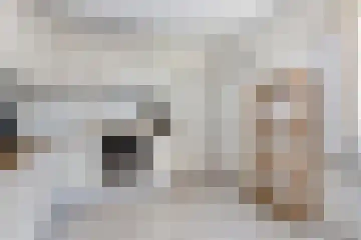 Doormanstraat 22 Borne thumbnail 19