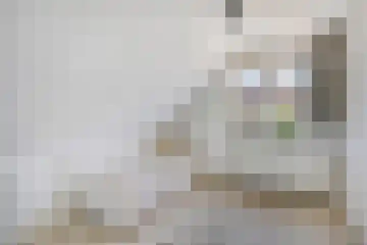 Doormanstraat 22 Borne thumbnail 31