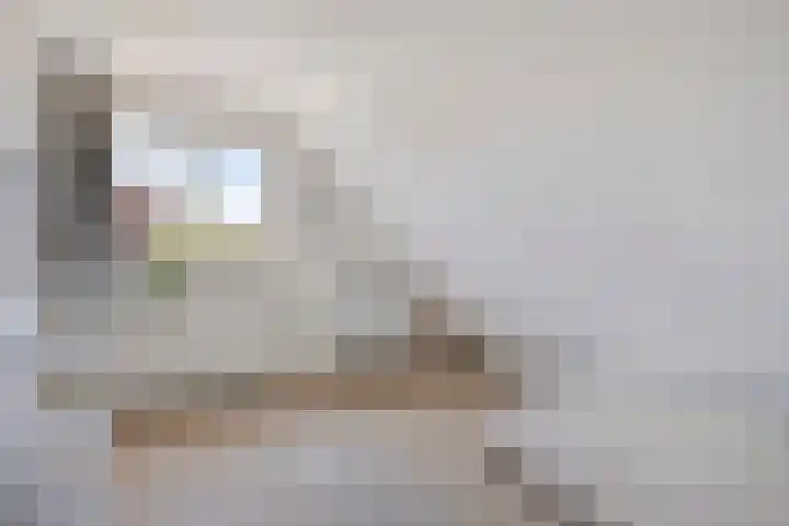 Doormanstraat 22 Borne thumbnail 33
