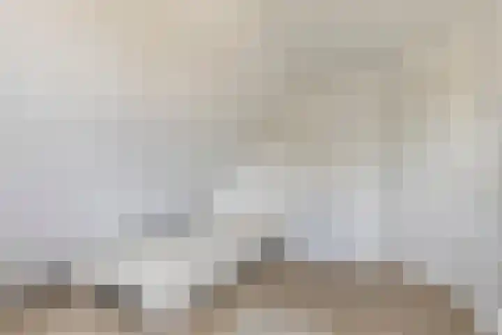 Doormanstraat 22 Borne thumbnail 34